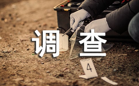 农村小学现状调查报告