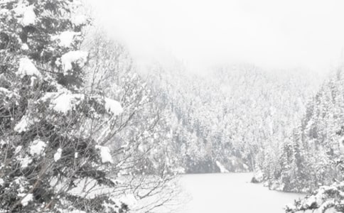 冬季清雪工作方案(精选15篇)