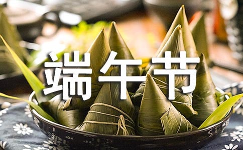 小区端午节的活动总结范文(精选14篇)