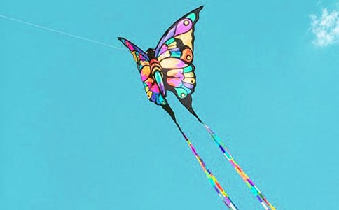 ������ķ��ݡ���ѧ��˼��ͨ��16ƪ��