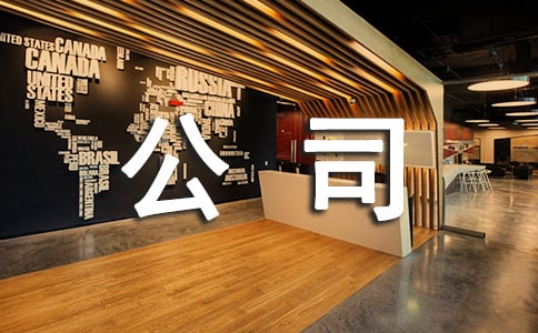 担保公司工作总结(精选20篇)