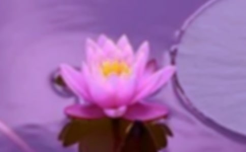 共建和谐小区的倡议书(通用20篇)