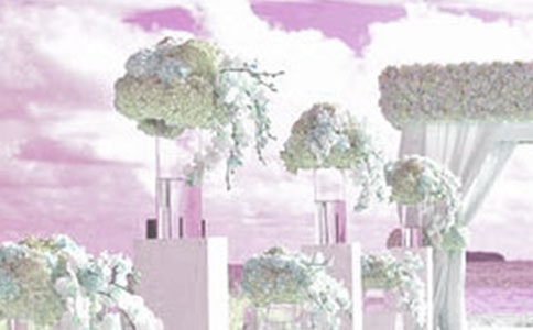 �����з����׾���Ľ�����26ƪ