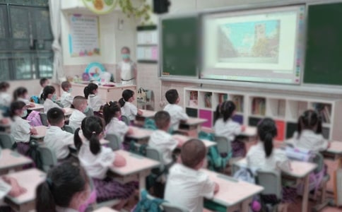 《我要的是葫芦》教学反思(精选10篇)