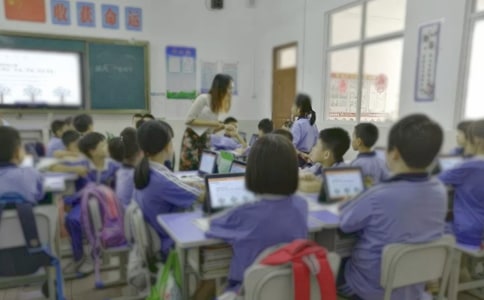 科学课后教学反思(精选5篇)