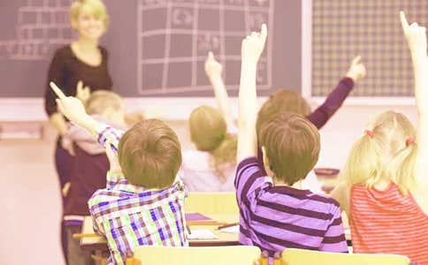 《白鹅》教学反思(20篇)