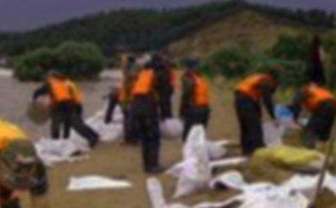 防汛抗洪工作总结