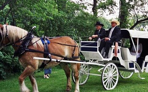 ��ʱ����С��������ѧ��˼