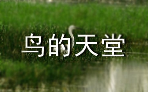 鸟的天堂教学反思(精选19篇)