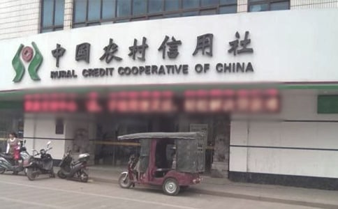 农村信用社员工年终总结(精选17篇)