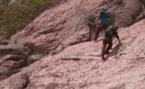 《爬山虎的脚》教学反思(精选20篇)