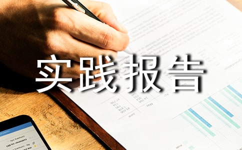 计算机实践报告范文(精选12篇)