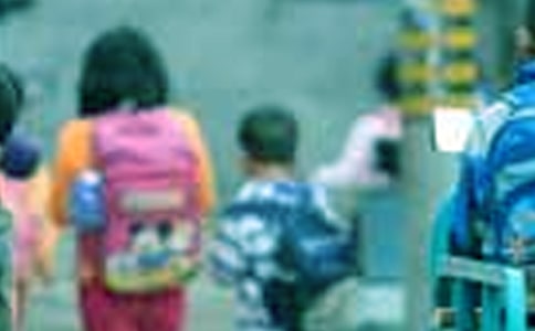 小学生暑期实践活动总结(通用15篇)