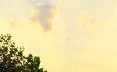 ��̵��°��簲QQ�ʺ���150��