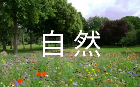 《自然之道》教学反思(精选22篇)