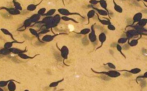 С����������ѧ��˼����ѡ19ƪ��