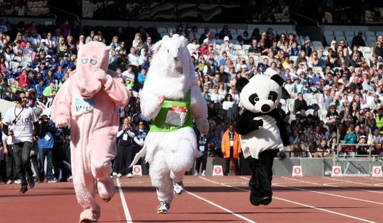 大学生运动会加油稿集锦