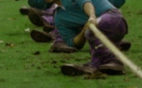 拔河比赛活动总结范文