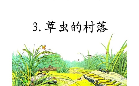 《草虫的村落》教学反思(精选15篇)