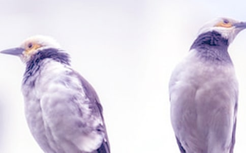 情侣吵架检讨书(优)