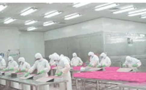 铸造车间工作总结