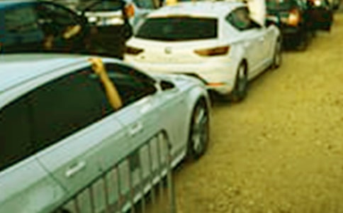 车展活动工作总结