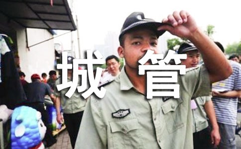 城管中队年度工作总结