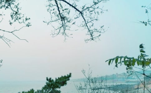 2023年春风行动工作方案