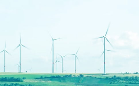 春风十里经典语录