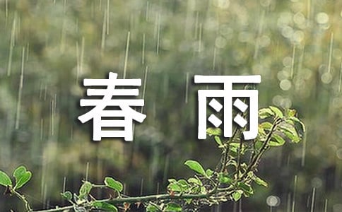 春雨沙沙教学反思