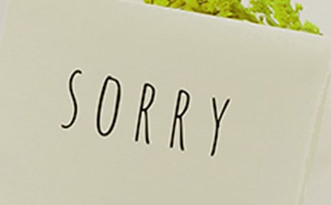 给小河写的道歉信模板