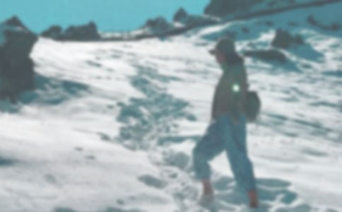 登山活动总结(必备)