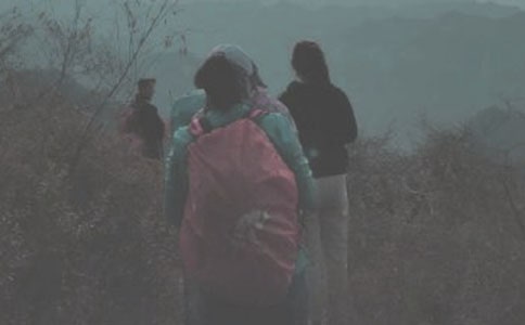 登山活动总结(15篇)