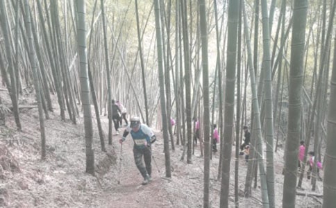 登山活动总结15篇