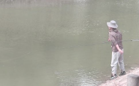 小猫钓鱼教学反思15篇