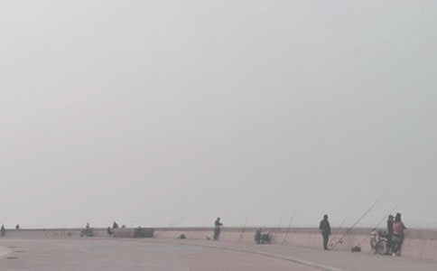 《钓鱼的启示》教学反思