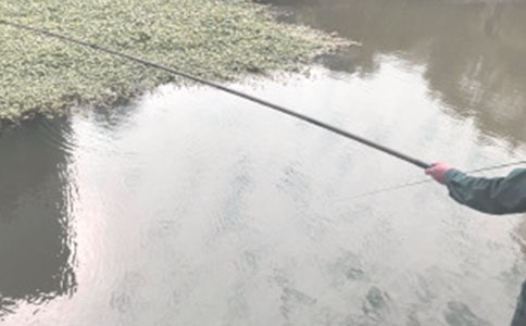 《小猫钓鱼》教学反思