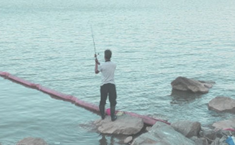 《钓鱼的启示》教学反思 15篇