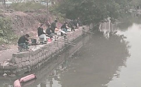 (精选)《钓鱼的启示》教学反思