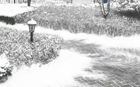 秋冬季森林防灭火工作方案(精选16篇)