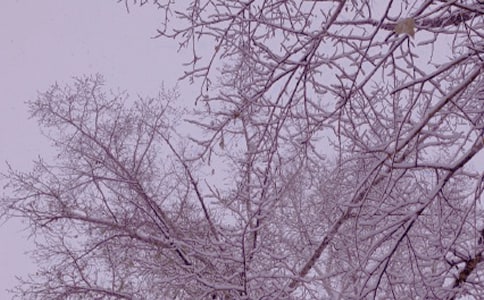 冬日送温暖的活动总结