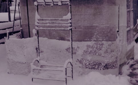 缤纷的冬日活动总结14篇