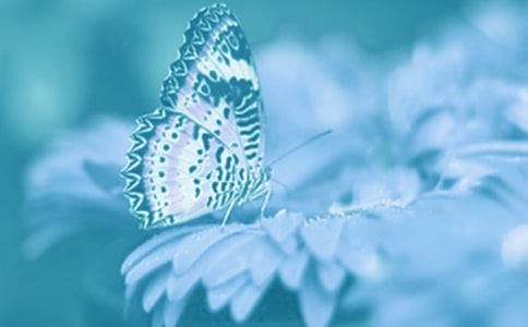 野生动植物保护宣传月活动总结简短