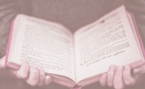 小学世界读书日活动总结范文