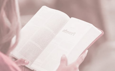 校园世界读书日活动总结6篇