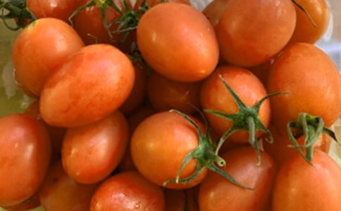 《“番茄太阳”》教学反思