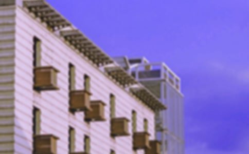 《哪座房子最漂亮》教学反思 (15篇)