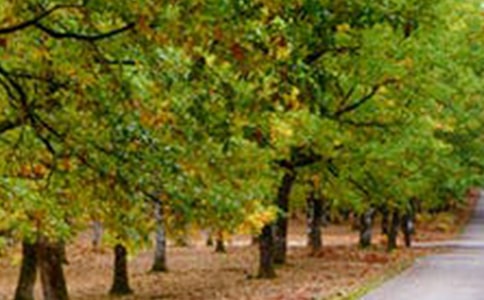 滨州风景房租赁合同