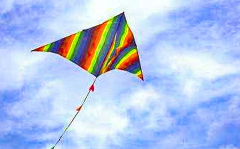 《理想的风筝》教学反思