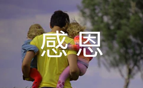 感恩母亲的活动总结